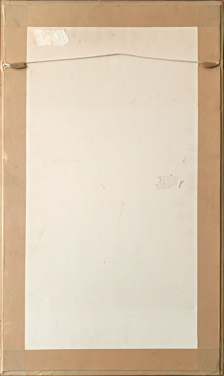 Cressida Campbell (b.1960) Original Limited Edition Signed Screenprint 'The Bush' 50cm x 22cm