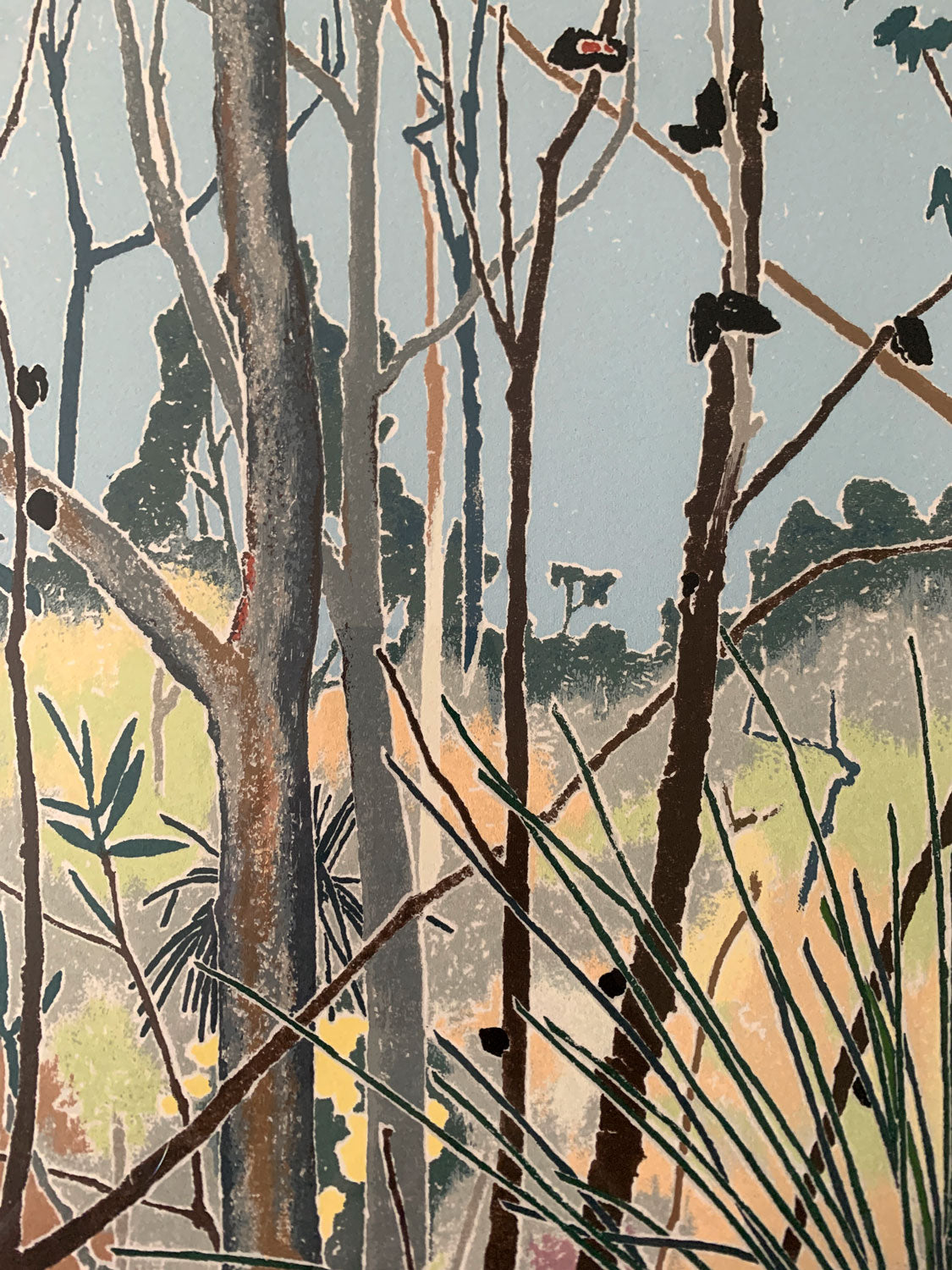 Cressida Campbell (b.1960) Original Limited Edition Signed Screenprint 'The Bush' 50cm x 22cm