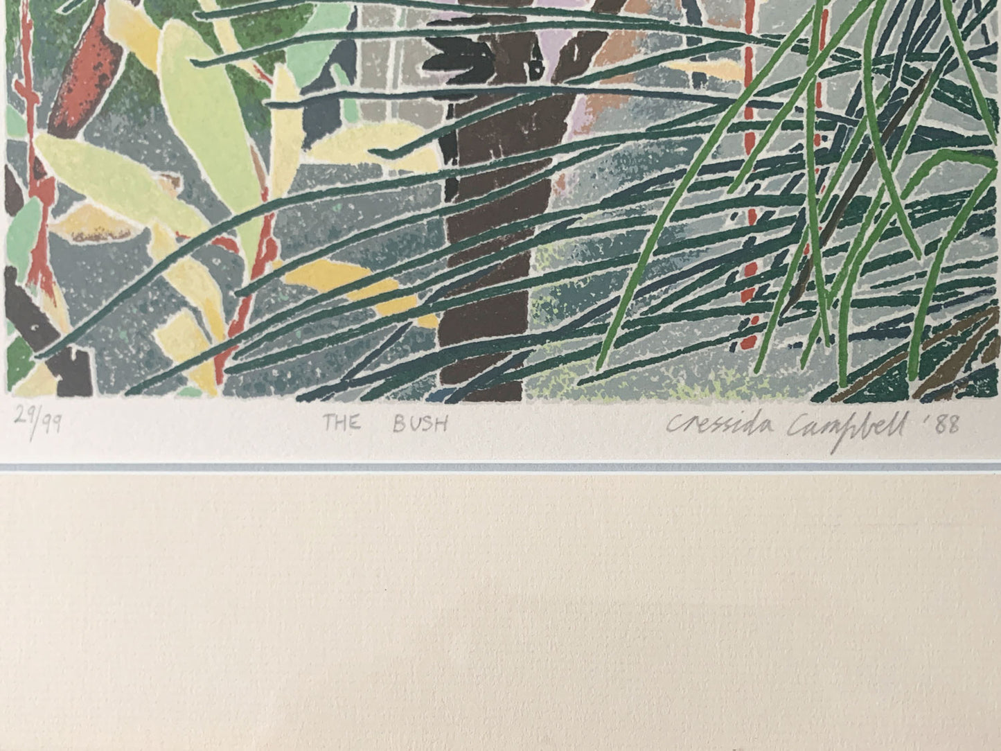 Cressida Campbell (b.1960) Original Limited Edition Signed Screenprint 'The Bush' 50cm x 22cm