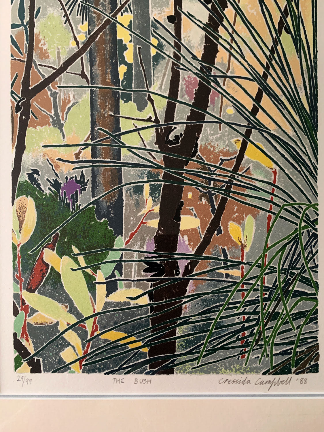 Cressida Campbell (b.1960) Original Limited Edition Signed Screenprint 'The Bush' 50cm x 22cm
