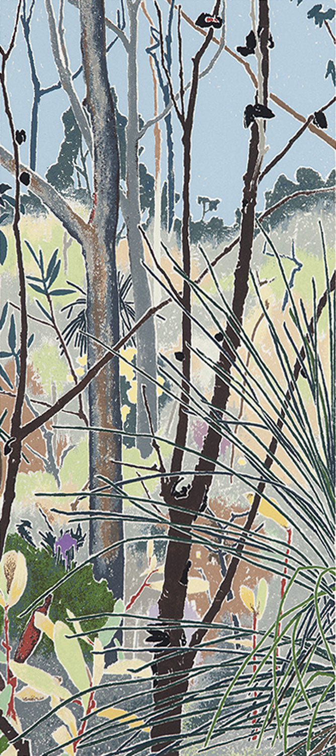 Cressida Campbell (b.1960) Original Limited Edition Signed Screenprint 'The Bush' 50cm x 22cm