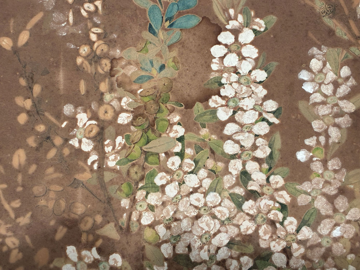 Ellis Rowan (1848-1922) Original Watercolour Painting 'Wildflowers' 37cm x 25cm