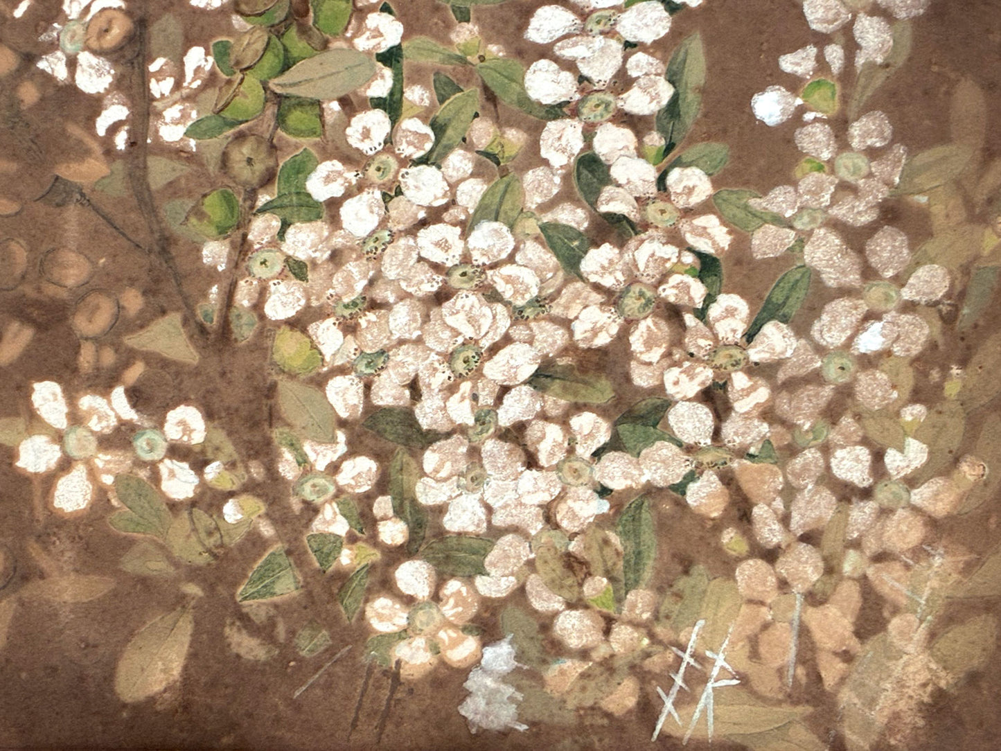 Ellis Rowan (1848-1922) Original Watercolour Painting 'Wildflowers' 37cm x 25cm