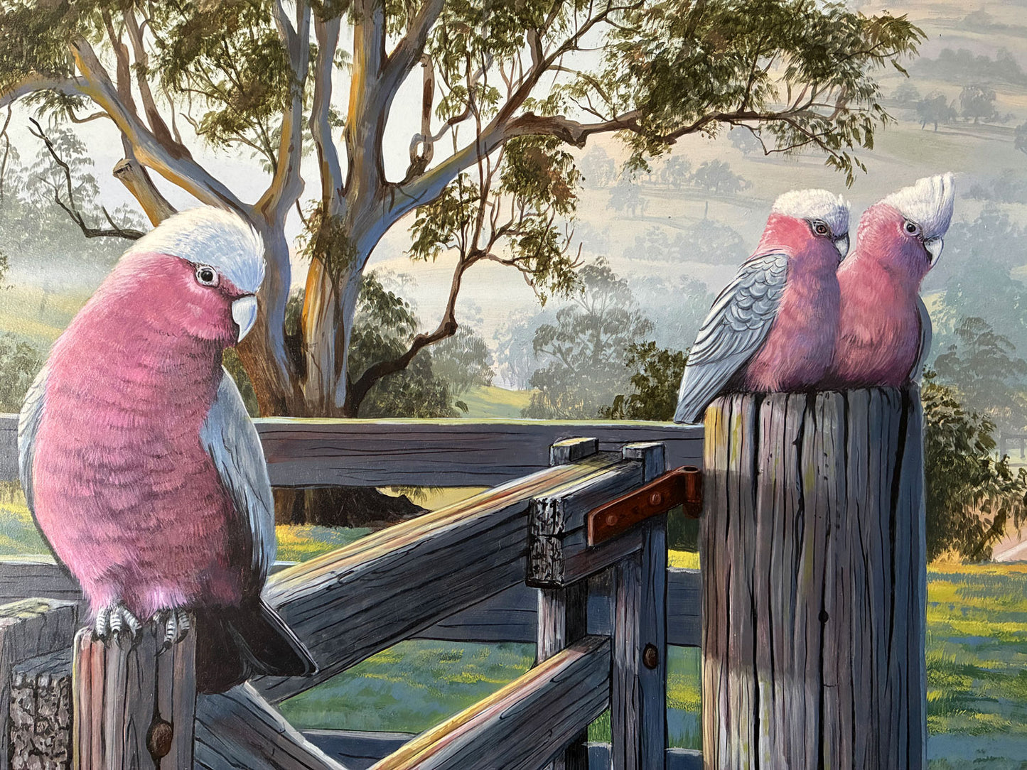 James Hough (b.1960) Large Original Acrylic Painting on Board 'Back Country Galah' 30.5m x 59cm
