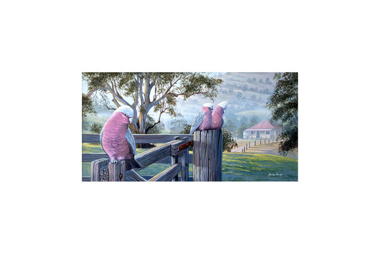 James Hough (b.1960) Large Original Acrylic Painting on Board 'Back Country Galah' 30.5m x 59cm