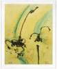 John Olsen (1928-2023) XLarge Limited Edition Signed Print 'Big Frog, Little Frog' 100cm x 80cm