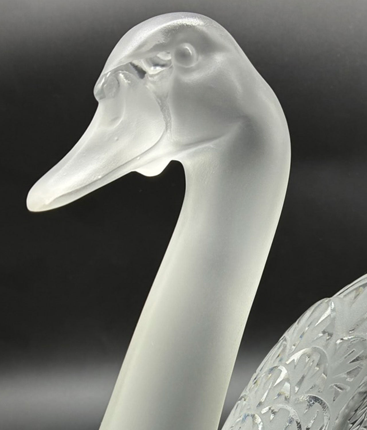 Lalique France - Clear and Frosted Glass Cygne Tête Penchée 'Head Up' Swan 25cm x 31 cm