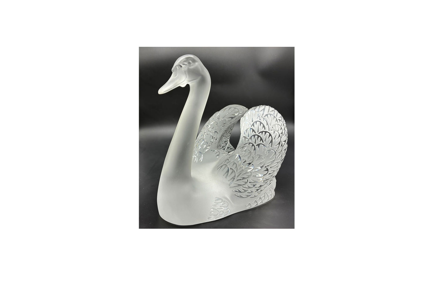 Lalique France - Clear and Frosted Glass Cygne Tête Penchée 'Head Up' Swan 25cm x 31 cm