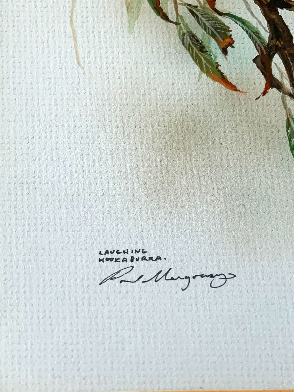 Paul Margocsy (1945 - ) Original Gouache Painting 'Laughing Kookaburra' 30.5cm x 20cm