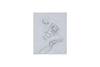 Norman Lindsay (1879-1969) Original Signed Pencil Drawing on Paper 'Repose' 19.5cm x 15cm