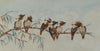 Alice Cayley (1889-1960) Original Watercolour 'Kookaburra' 15.5cm x 30cm