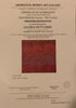 Gloria Tamerre Petyarre - Original Aboriginal Painting - 'Bush Medicine Leaves' 133cm x 128cm Stretched